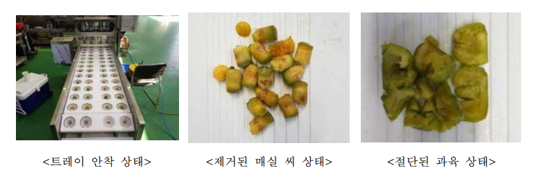 매실 씨제거 및 과육절단 시험