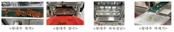 매실 세척 탈수 씨제거 및 절단 장치에 왕대추 적용시험