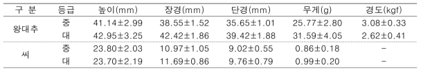 등급별 왕대추와 왕대추 씨의 기하학적 특성