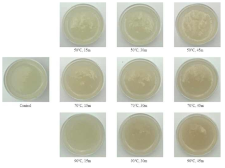 Color change of pear puree according to time and temperature with hydrothermal treatment