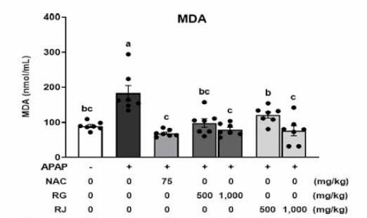 순무(RG)와 월동무(RJ)의 혈중 지질과산화물(MDA) 억제 평가(p<0.05)
