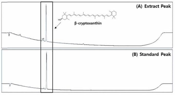 궁천조생 품종 감 귤 (A )과 P-cryptoxanthin 표준용액(미의 U P L C 분석 크로마토그램