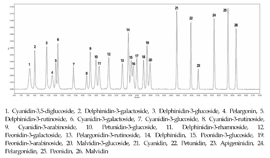 안토시아닌 표준품의 UPLC 분석 크로마토그램