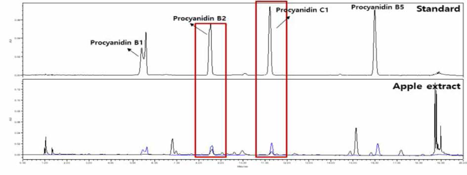 사과 추출물과 procyanidin 표준품의 UPLC 분석 크로마토그램