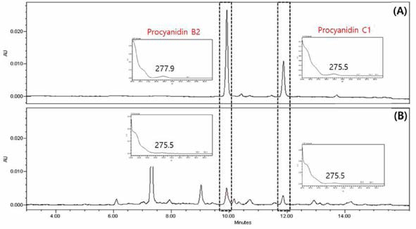 프로시아니딘 표준품(A) 및 사과 시료(B)의 UPLC 분석 크로마토그램