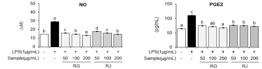 순무(RG) 및 월동무(RJ)의 염증유발물질 생성량 억제(p<0.05)