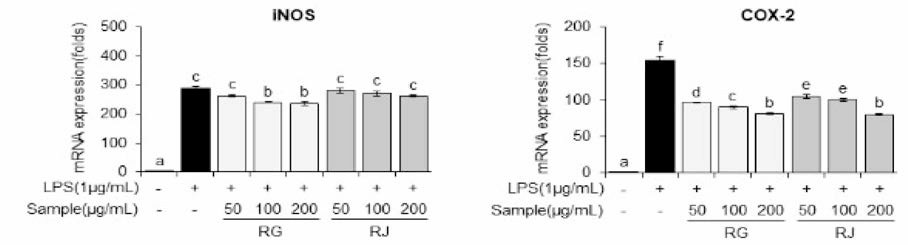 순무(RG) 및 월동무(RJ)의 염증매개물질 유전자 발현 억제(p<0.05)