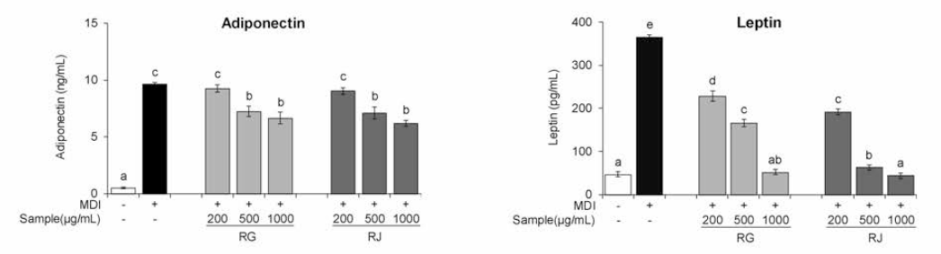 순무(RG) 및 월동무(RJ)의 adipokine 생성 개선 효과 (p<0.05)
