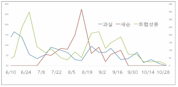 시기별 감귤 새순과 과실에서의 볼록총채벌레 밀도 변화