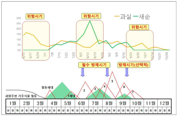 감귤생육 기반 볼록총채벌레 방제시기