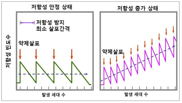 볼록총채벌레 약제저항성 관리 개념