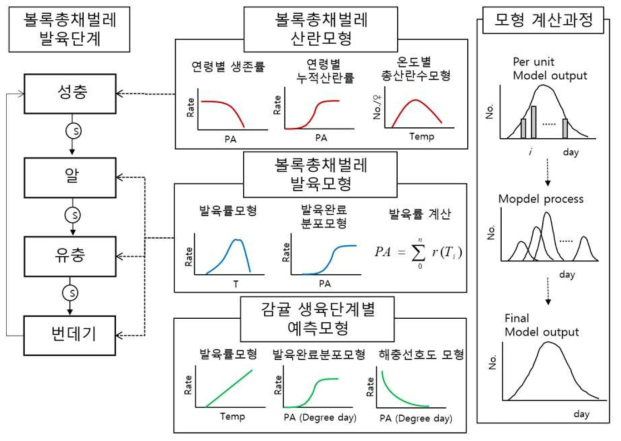 볼록총채벌레 개체군모형 구조 모식도