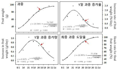 노지 온주밀감의 시기별 과실 비대 평가