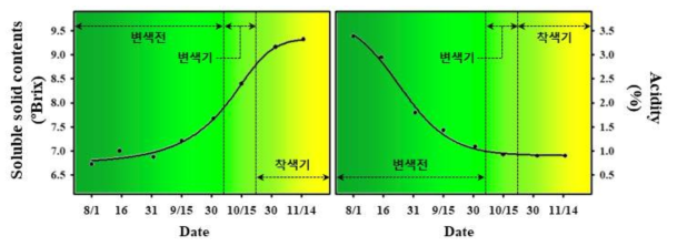 과실 변색기 및 착색기 구분에 따른 당ž산 함량 변화