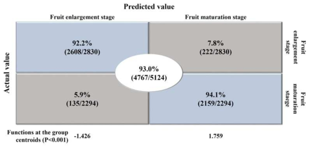 과실비대기 및 성숙기 구분 예측 정확도 평가