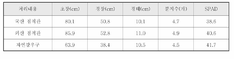 지중점적관개시스템의 콩의 개화기 생육