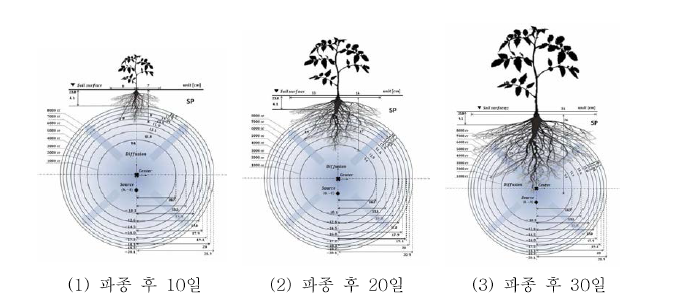 콩의 생육시기별 사질토에 대한 공급유량 설계