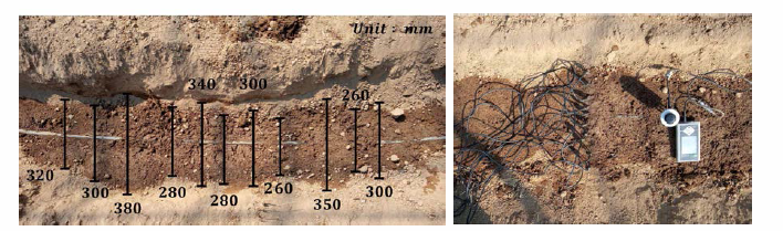 수입품 지중관수 장치(1.6L/h)을 적용한 사질토의 수평 수분확산 형태