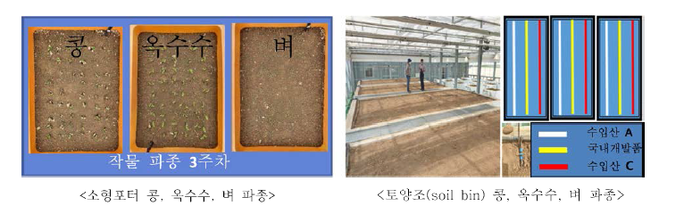 밀양 식량과학원 남부작물부 온실내 뿌리관찰 테스트 (소형포터，토양조)