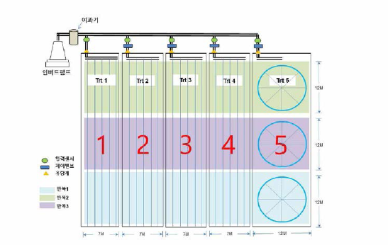 점적관 유출량 기준산정을 위한 시험포장 배치도