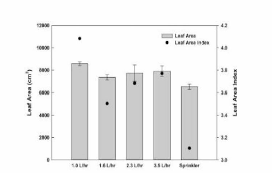 지중관개시스템에서 점적유량에 따른 콩의 엽면적 및 엽면적 지수