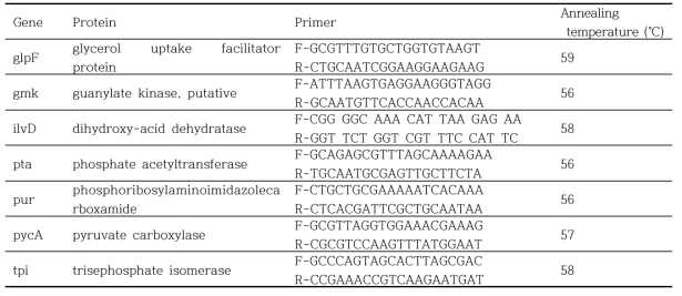 B. cereus의 housekeeping 유전자의 primer sequencing