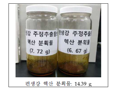 편생강(10kg) 주정 추출물로부터 헥산 분획물 및 함량