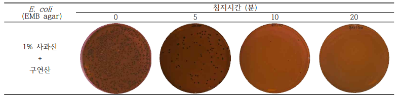 % 사과산+구연산 침지시간별 미생물 저감화 결과