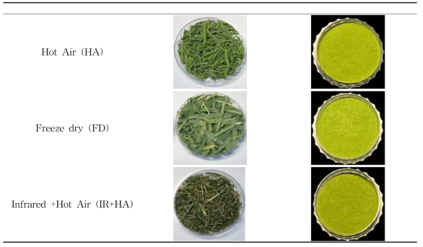 건조 방법에 따른 건조 새싹보리와 분말의 외관