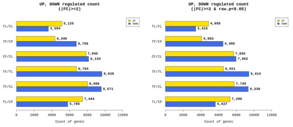 Fold Change(FC) 값(왼쪽)과 p-값(오른쪽)을 기반으로 한 처리구 및 대조구의 유의한 발현 유전자의 수. TF(CO2처리구 체리), TL(CO2처리구 잎), CF(대조구 체리), CL(대조구 잎)