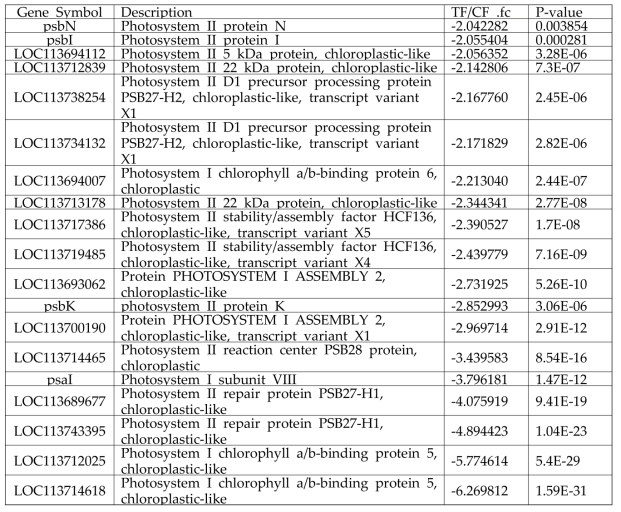 처리구의 잎과 대조구의 잎에서 광계와 관련된 차등 발현한 유전자