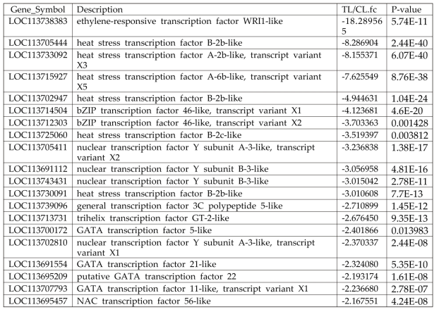 차등 발현된 상위 20개 전사 인자 유전자(처리구 잎과 대조구 잎 비교)
