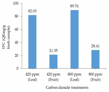 대조군과 고농도 이산화탄소 처리군에서 얻은 커피 잎과 열매의 총 플라보노이드함량(TFC)