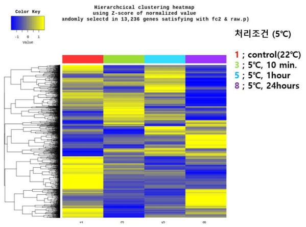 Significant data에 대하여, expression level(normalized value)이 유사한 샘플 및 gene를 그룹화하는 Hierarchical Clustering analysis (Euclidean Method, Complete Linkage) 를 수행하고, 이를 Heatmap으로 나타냄