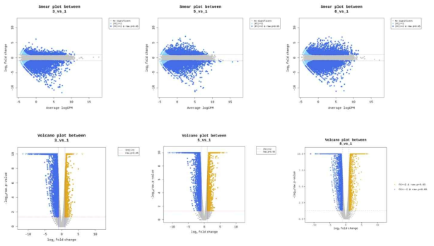 대조구와 처리구의 비교조합간 발현값의 평균이 높으면서 control 대비, test 그룹에서 차이가 있었던 gene을 확인하기 위해 Smearplot(X축: average log2 counts-per-million (logCPM), Y축: log2 Fold Change)으로 나타낸 그림(상단). 대조구와 처리구의 비교조합간 발현값의 log2 fold change와 두 그룹간 평균 비교를 통해 도출 된 p-value를 volcano plot으로 나타낸 그림(하단). (X축: log2 Fold change, Y축: -log10 p-value)