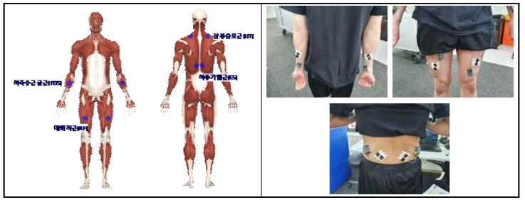 피실험자 근전도 부착 위치