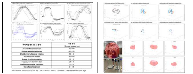 어깨 복합체 관절별 가동범위 분석 및 어깨 복합체 관절별 궤적 및 작업반경