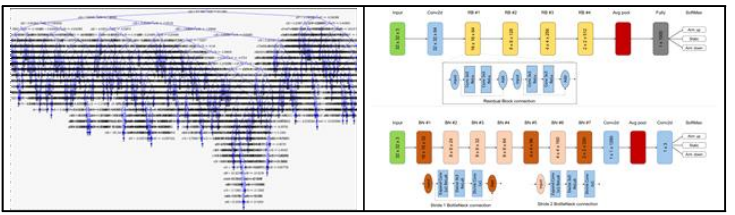 기계학습 알고리즘 Random Forest와 Convolutional Neural Network 구조