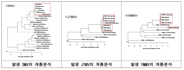 신소득 땅속작물(둥근마, 열대마, 인디언감자) 바이러스(SMV, JYMV, YMMV)의 분리주의 유연관계 분석을 위한 염기서열 계통분석