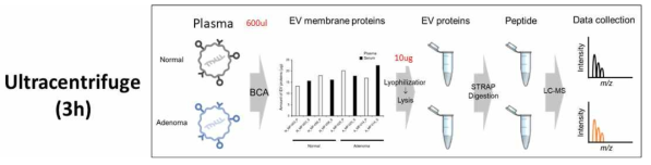 Ultracentrifugation 기법을 이용한 엑소좀 분리 및 단백체 분석 개요