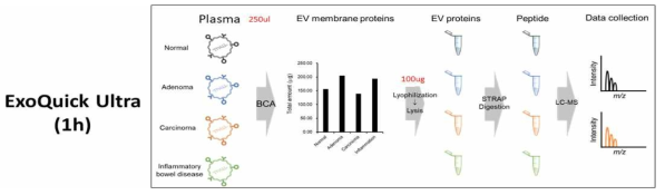 ExoQuick Ultra 기법을 이용한 엑소좀 분리 및 단백체 분석 개요