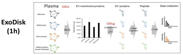 ExoDisk를 이용한 엑소좀 분리 및 단백체 분석 개요