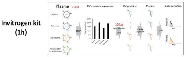 Invitrogen kit를 이용한 엑소좀 분리 및 단백체 분석 개요