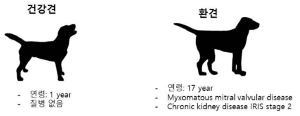 본 연구의 Proof of Concept을 위한 건강견 및 환견 정보