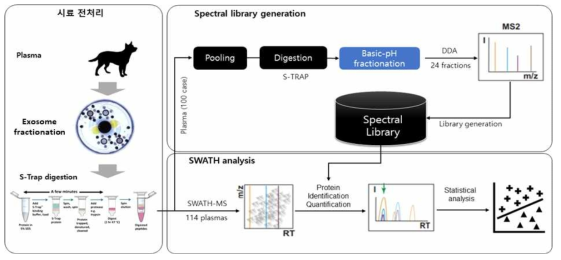 SWATH LC-MS를 이용한 엑소좀 단백체 분석 workflow