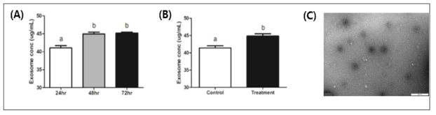 최적 농도의 NEAA, IGF를 사용하였을 때 시간(A) 및 세포 종류(B)에 따른 엑소좀 농도 분석 결과 및 TEM으로 촬영한 엑소좀 사진(C)