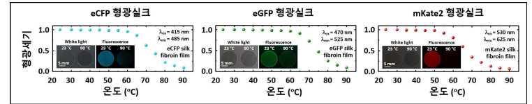 온도 변화에 따른 CFP, eGFP, mKate2 형광실크 필름 형광 이미지 및 형광 세기 변화 그래프