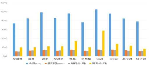 반자동 채소정식기 정식 30일 경과 후 고추묘 생육상태 비교결과