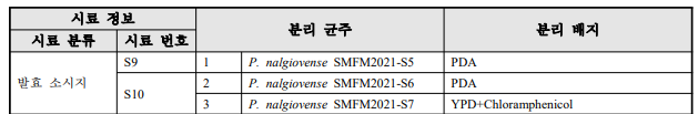 Penicillium nalgiovense 분리 정보