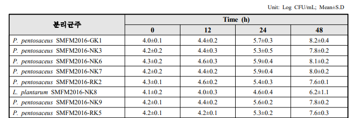 15℃에서 김치 분리 젖산균의 생균수